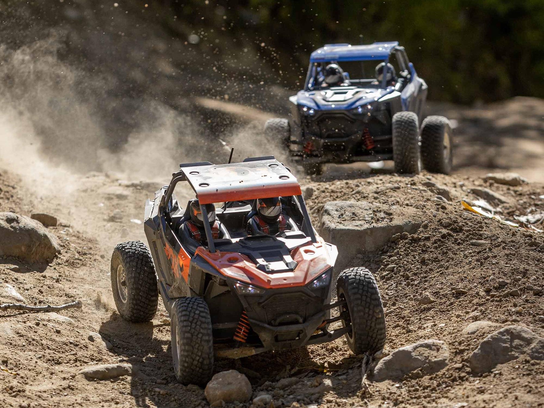 Losi 1/10 Rzr Rey 4Wd Brushless Rtr, Fox C-LOS03029T2