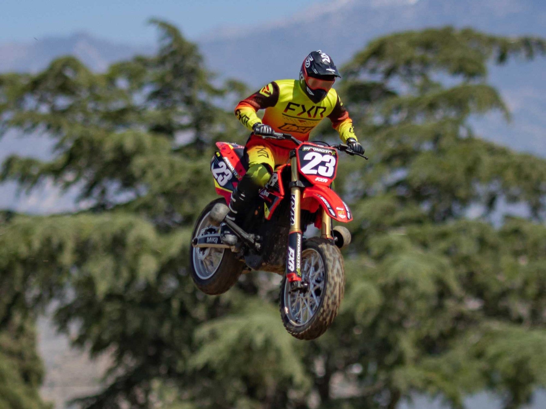 Losi 1/4 Promoto-Mx Motorcycle RTR, Fxr (Red) C-LOS06000T1