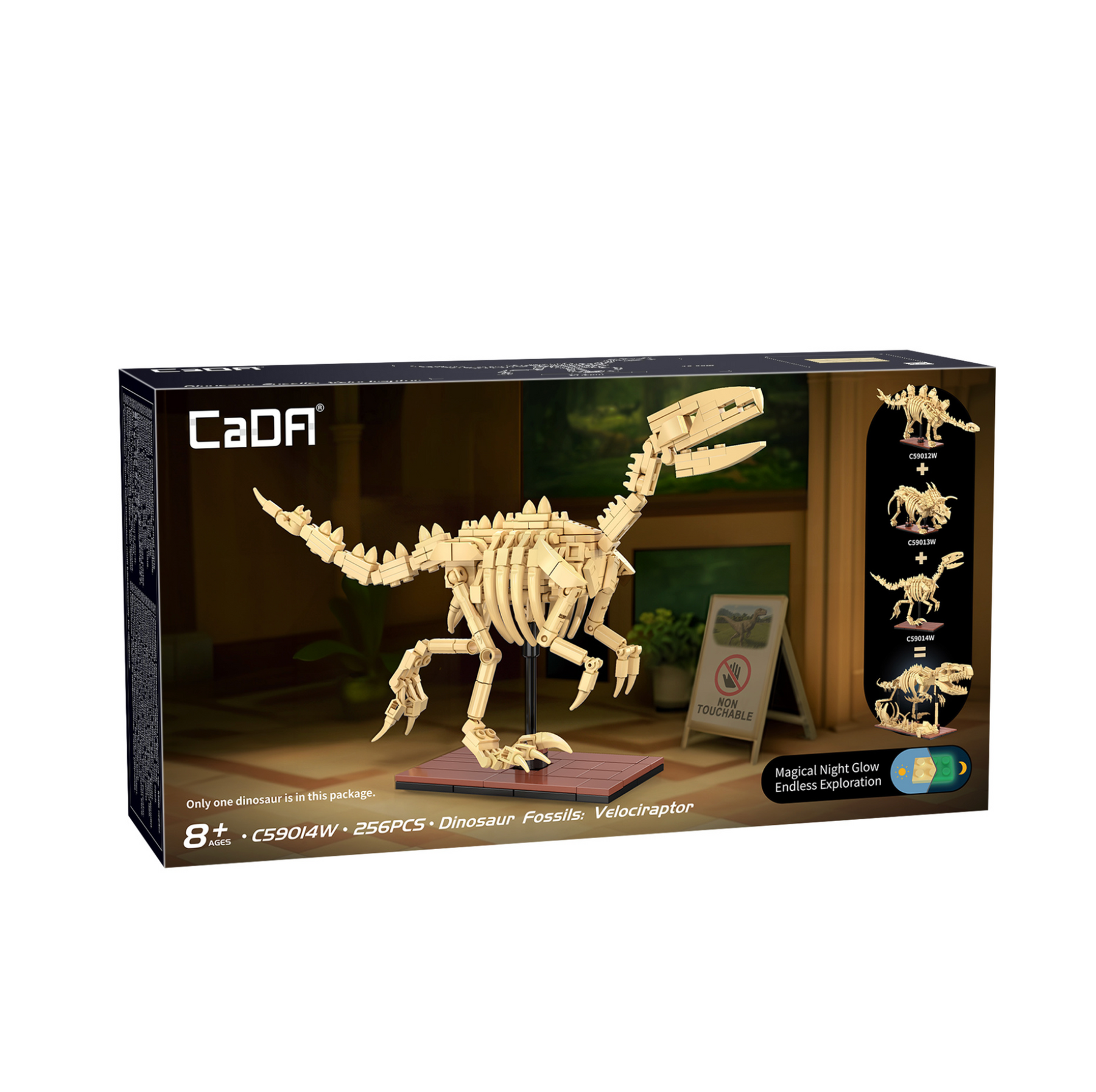 CaDA Creative Series Dinosaur Fossils - All 3 Kits, also makes a Tyrannosaurus Rex!